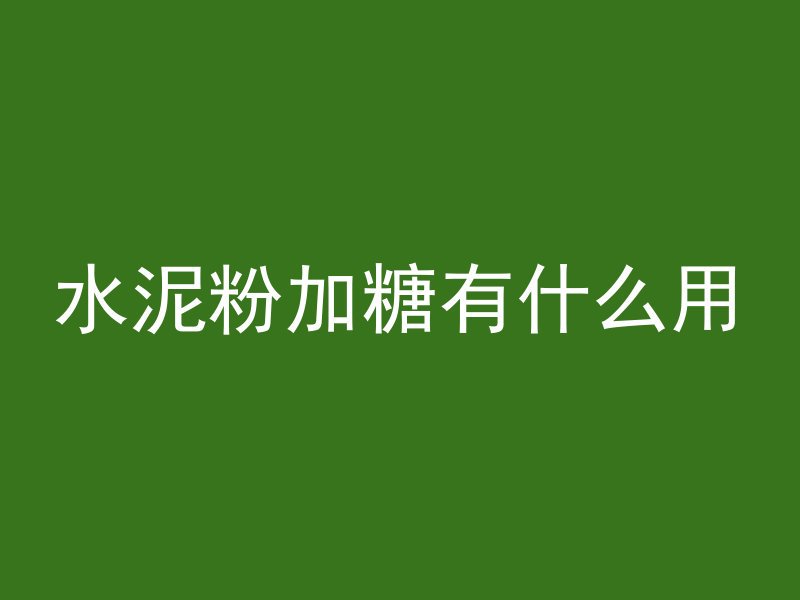 声测管检测桩测的什么